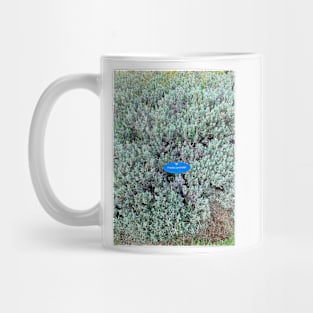 Freddy Lavender Mug